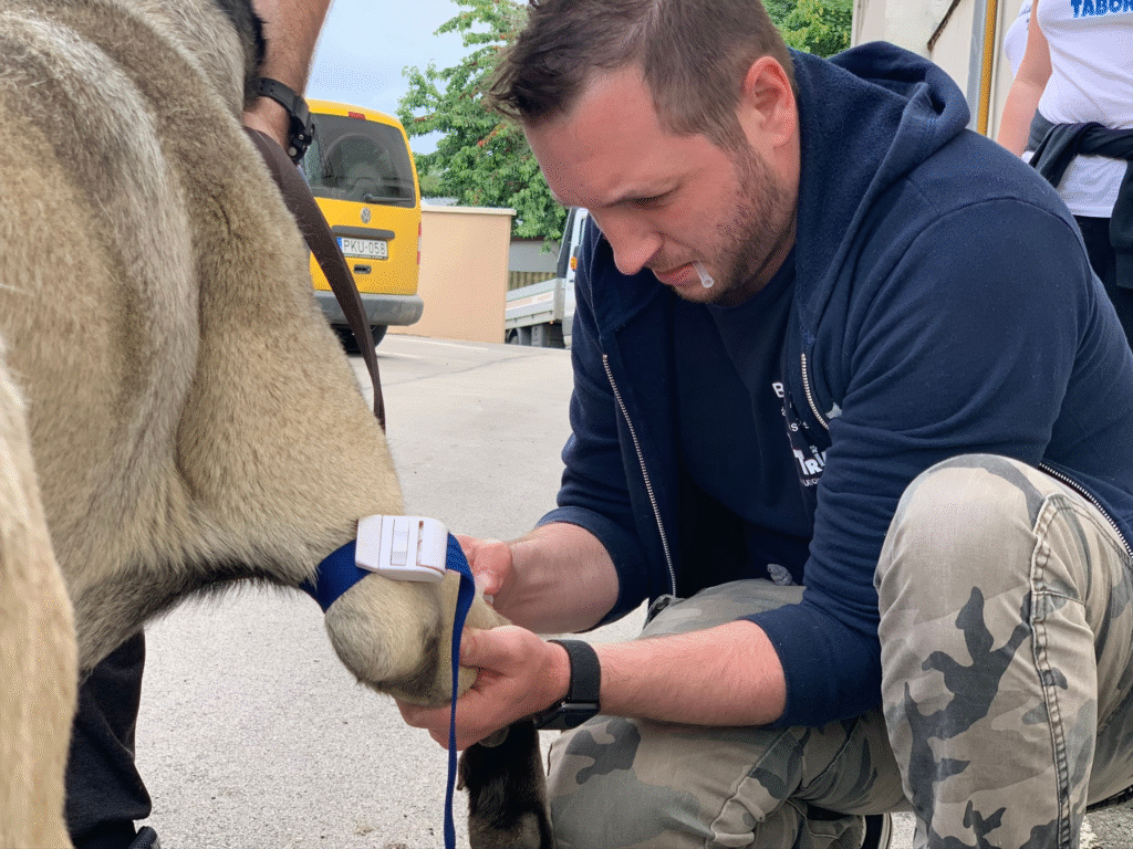 Tudás, technológia és empátia – így gyógyítunk mi