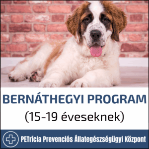 bernáthegyi program (8:30 19:00) – ajánlott 13 14 éveseknek