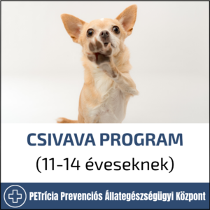 csivava program (11 14 éveseknek)