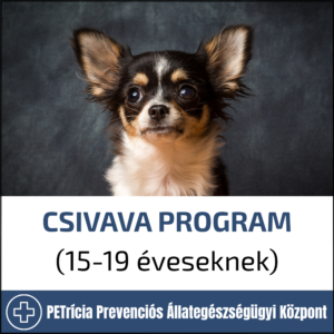 csivava program (15 19 éveseknek)