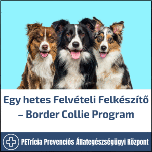 bernáthegyi program (8:30 19:00) – ajánlott 13 14 éveseknek (másolat)