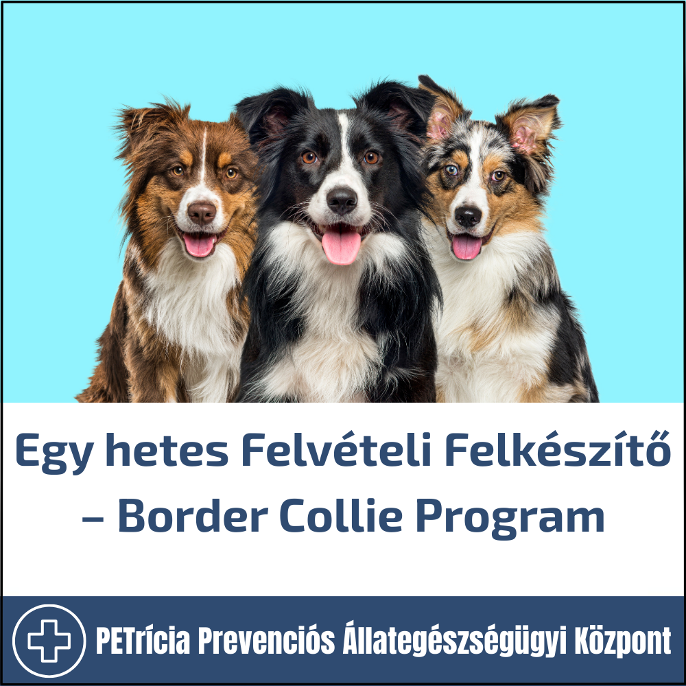 bernáthegyi program (8:30 19:00) – ajánlott 13 14 éveseknek (másolat)