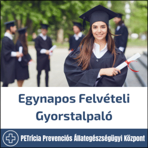 egynapos felvételi gyorstalpaló