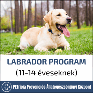 labrador program (hétfőtől péntekig 8:30 16:00) ajánlott 11–12 éveseknek