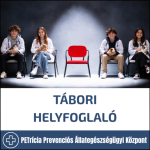 Tábori helyfoglaló